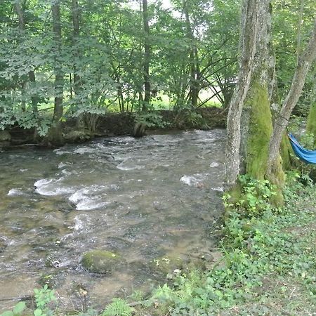 Chalet By The River Văliug Екстериор снимка