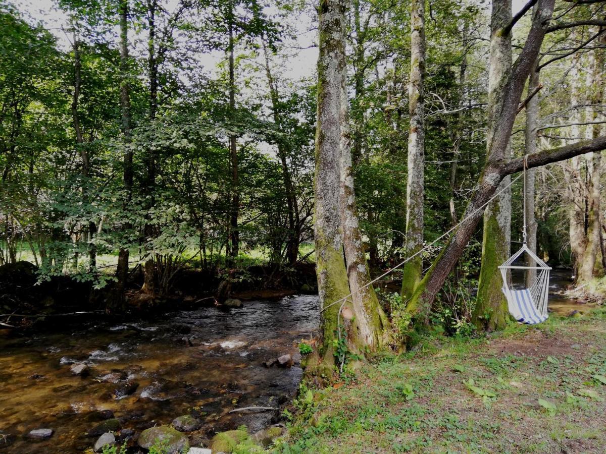 Chalet By The River Văliug Екстериор снимка