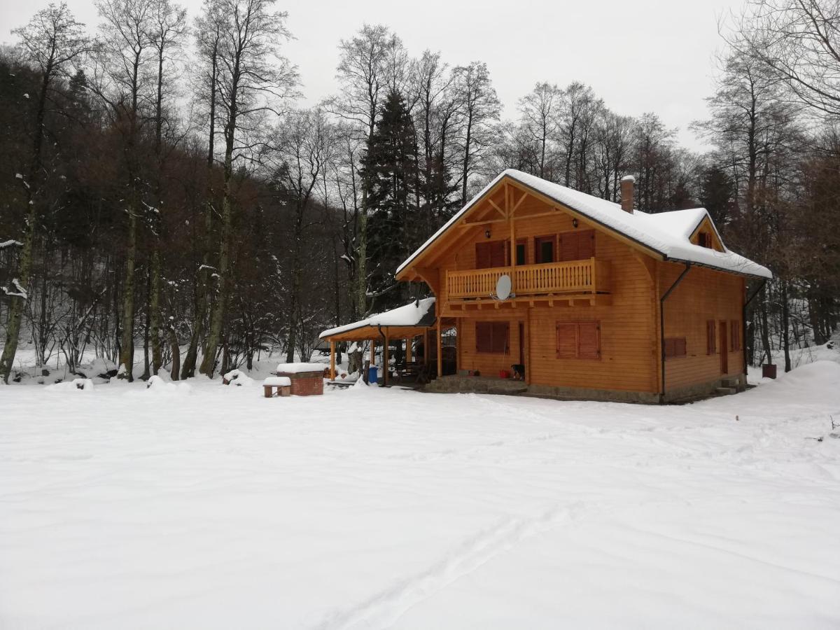 Chalet By The River Văliug Екстериор снимка