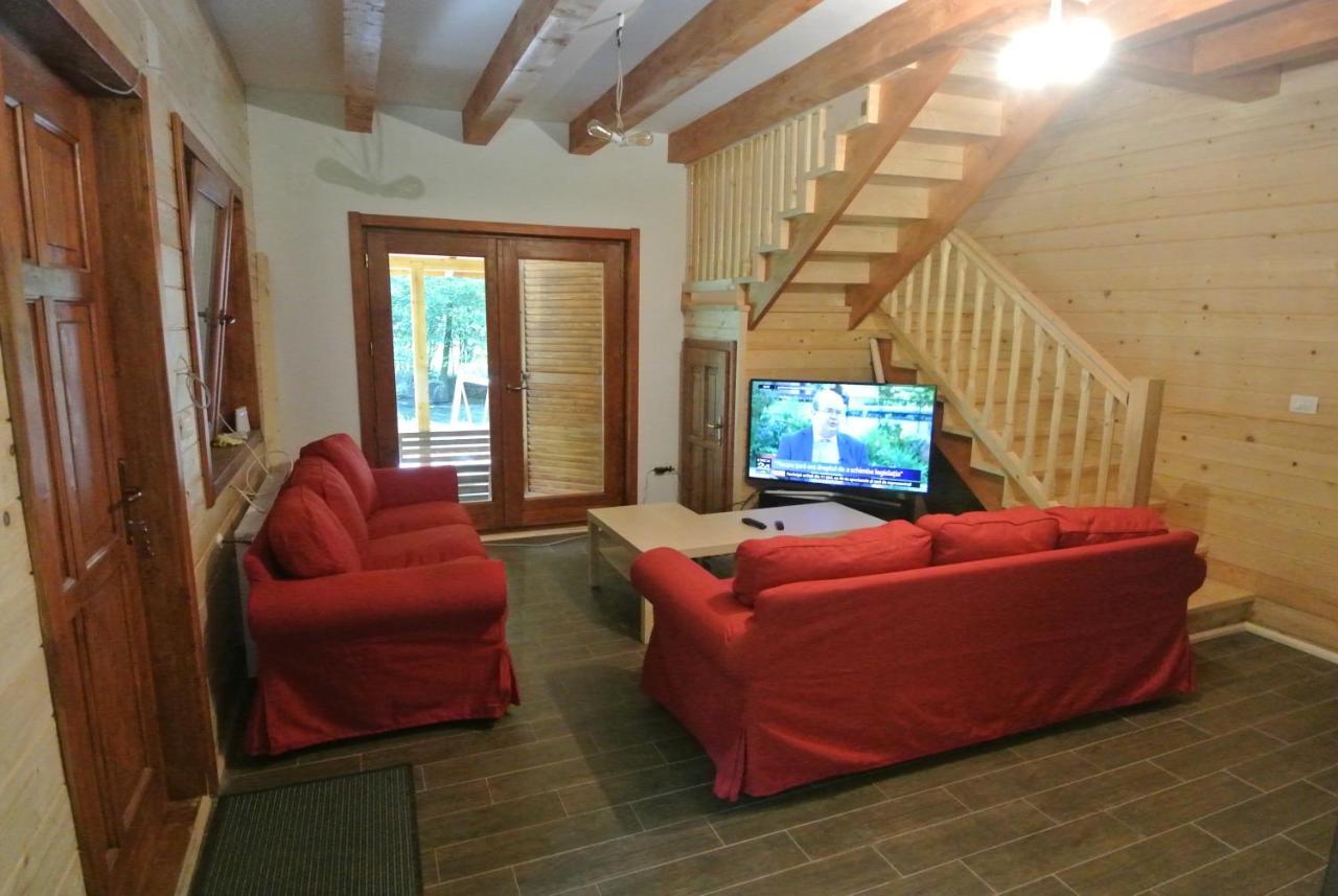 Chalet By The River Văliug Екстериор снимка