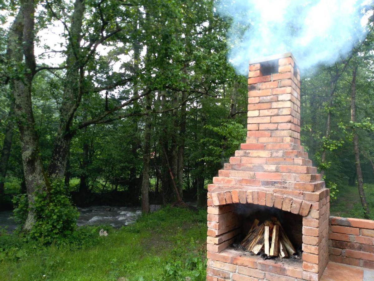 Chalet By The River Văliug Екстериор снимка