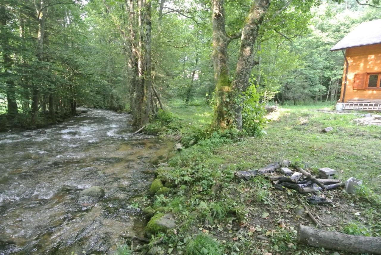 Chalet By The River Văliug Екстериор снимка