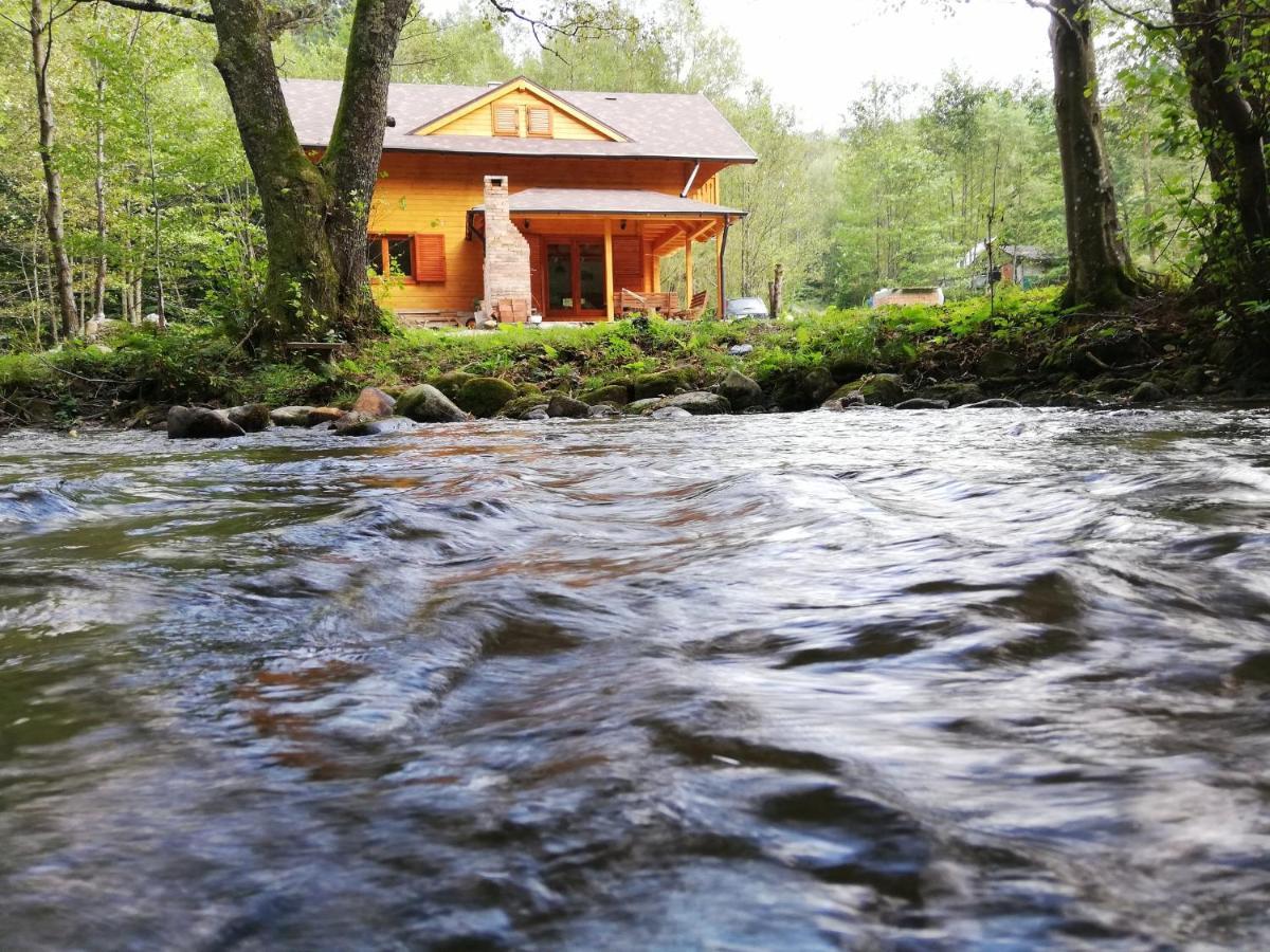 Chalet By The River Văliug Екстериор снимка