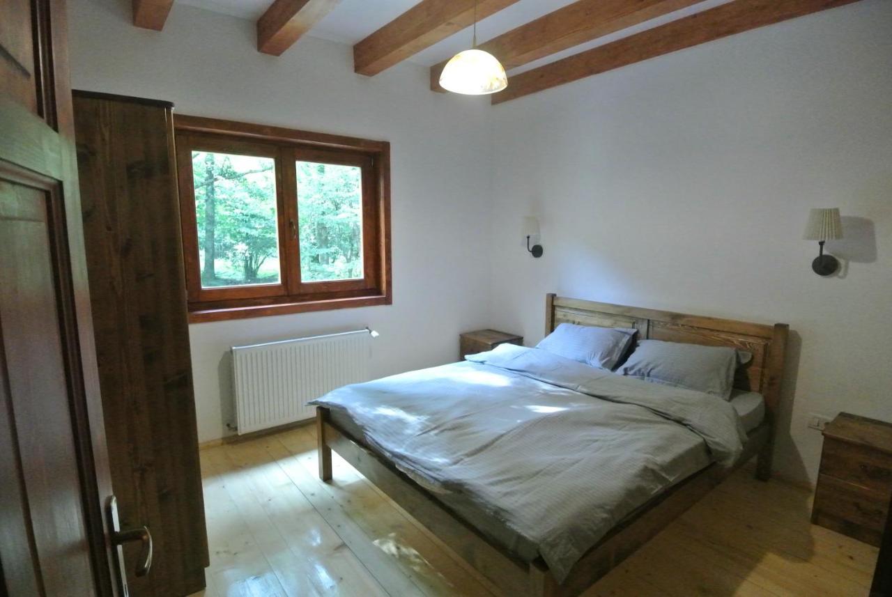 Chalet By The River Văliug Екстериор снимка