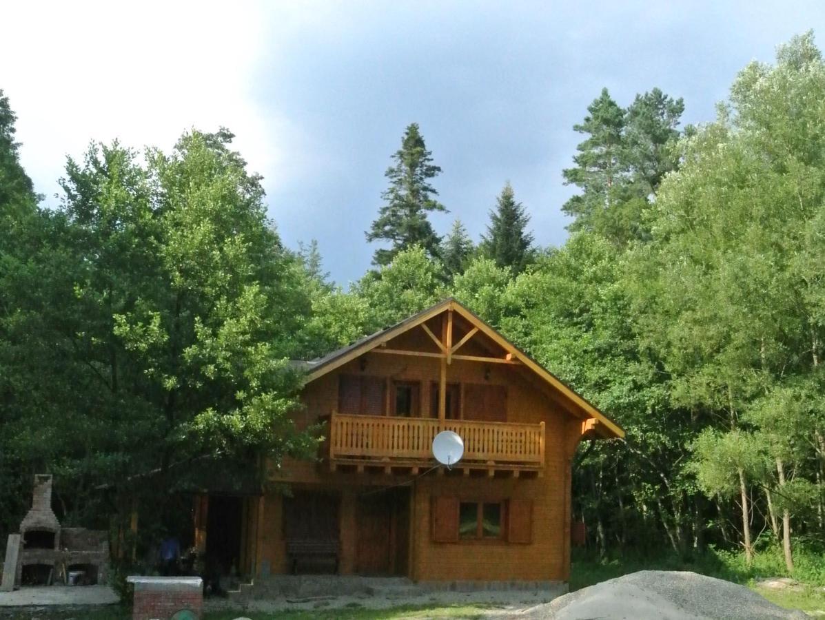 Chalet By The River Văliug Екстериор снимка